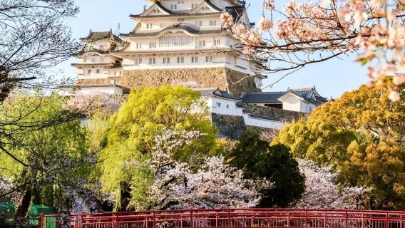 Tour di un giorno con noleggio con conducente esclusivo a Osaka + Castello di Himeji + Tempio Katsuō-ji + Cascata di Minō / itinerario personalizzabile