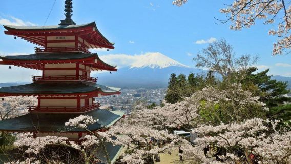 東京-白州威士忌巡禮+富士山絕景一日 不含票/白州蒸餾所票