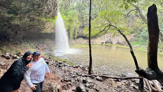 Byron Bay: Halvdagsrundtur till vattenfall och vilda djur