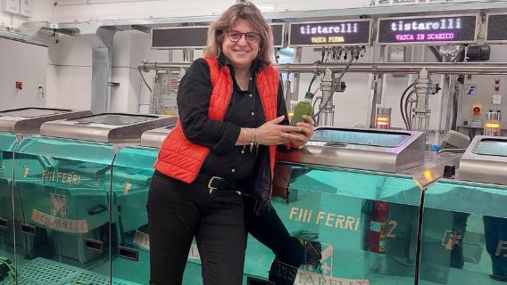 Olive Oil Mill Tour & Tuscan Food Tasting - Sarteano,Tuscany