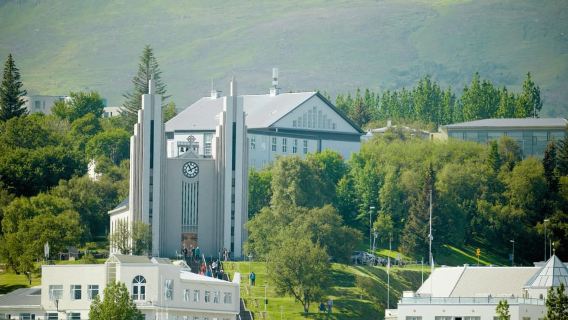 Akureyri: Yerel Yemeklerle Şehir Turu