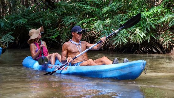Quepos: Kayak Tour in the Mangroves Near Manuel Antonio Park