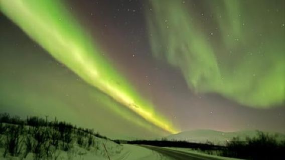 Kiruna: Small-Group Northern Lights Car Chase