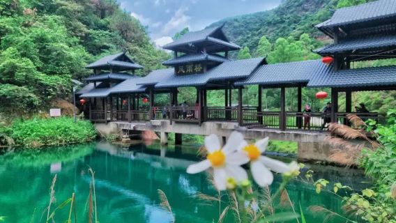 避暑聖地【肇慶+紫雲谷一日遊】媲美九寨溝+溯溪戲水+品農家菜