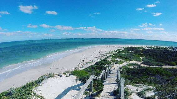 Tour 1 ngày đảo Fitzroy rạn san hô Great Barrier Reef Cairns có thể chọn lặn ống thở/lặn ống thở với hướng dẫn viên