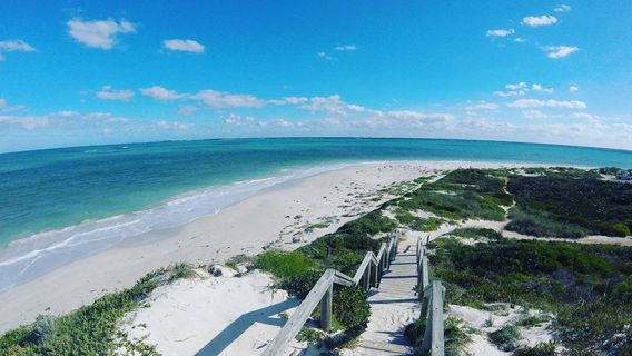 CairnsTours