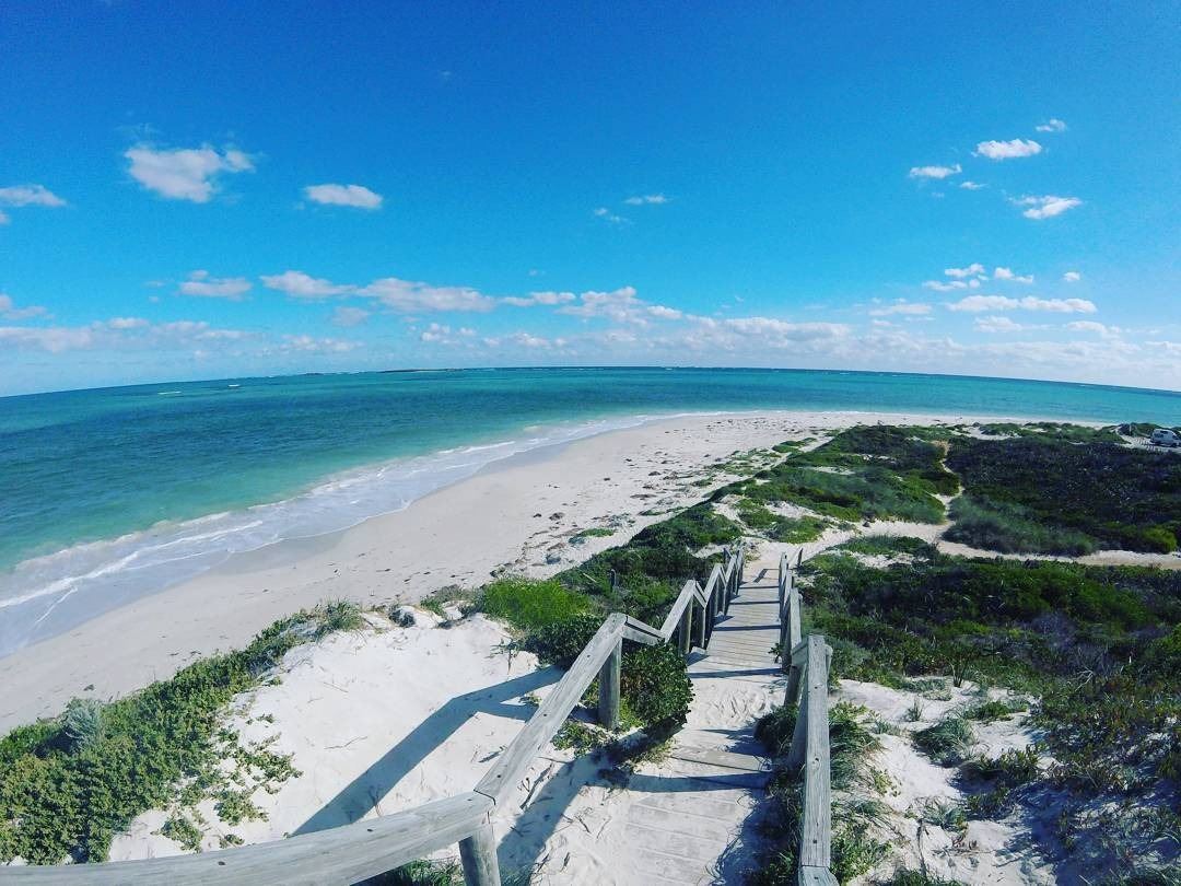 ทัวร์ 1 วัน เกาะฟิตซ์รอย แนวปะการังเกรตแบร์ริเออร์รีฟ แคนส์ เลือกได้ระหว่างการดำน้ำตื้นหรือดำน้ำตื้นกับไกด์