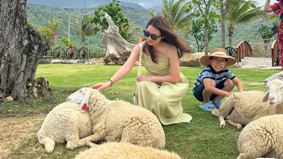 Ninh HaiTours