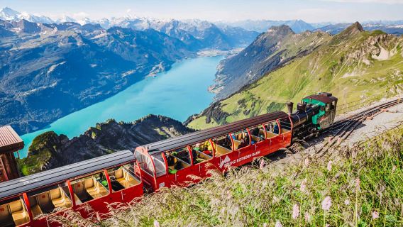 Servizio di prenotazione biglietti per il treno a vapore panoramico di Brienz-Rothorn andata e ritorno
