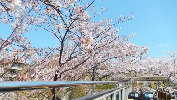 京都隨上隨下 Sky Hop Bus 觀光巴士票（1 日 / 2 日）