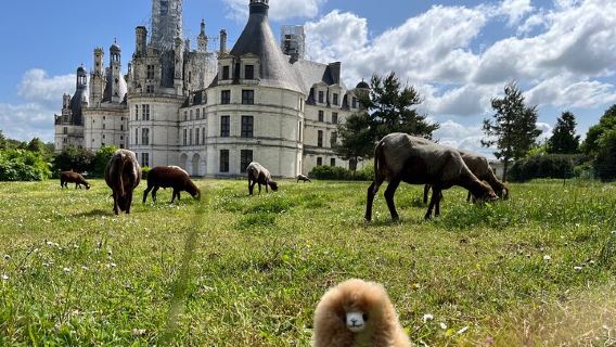 LoireTours