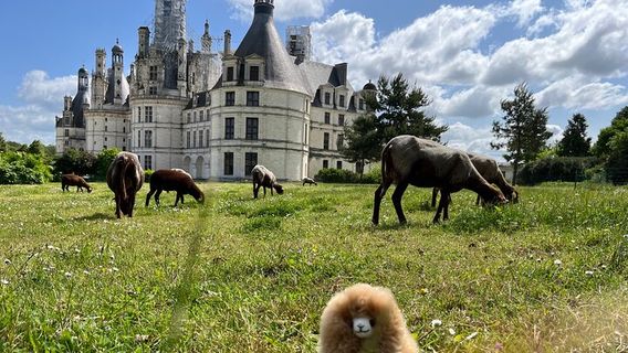 ToursTours