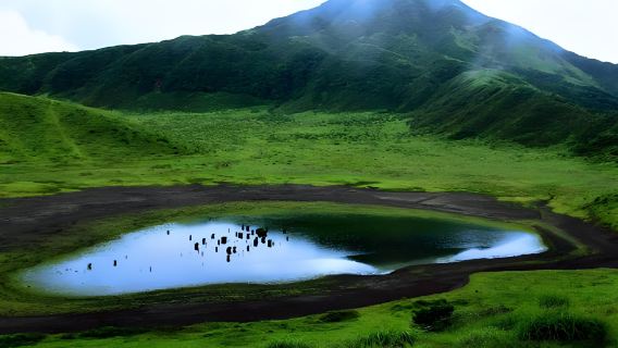 熊本/福岡/別府/由布院-定制包車-中文司機-行程可按需調整