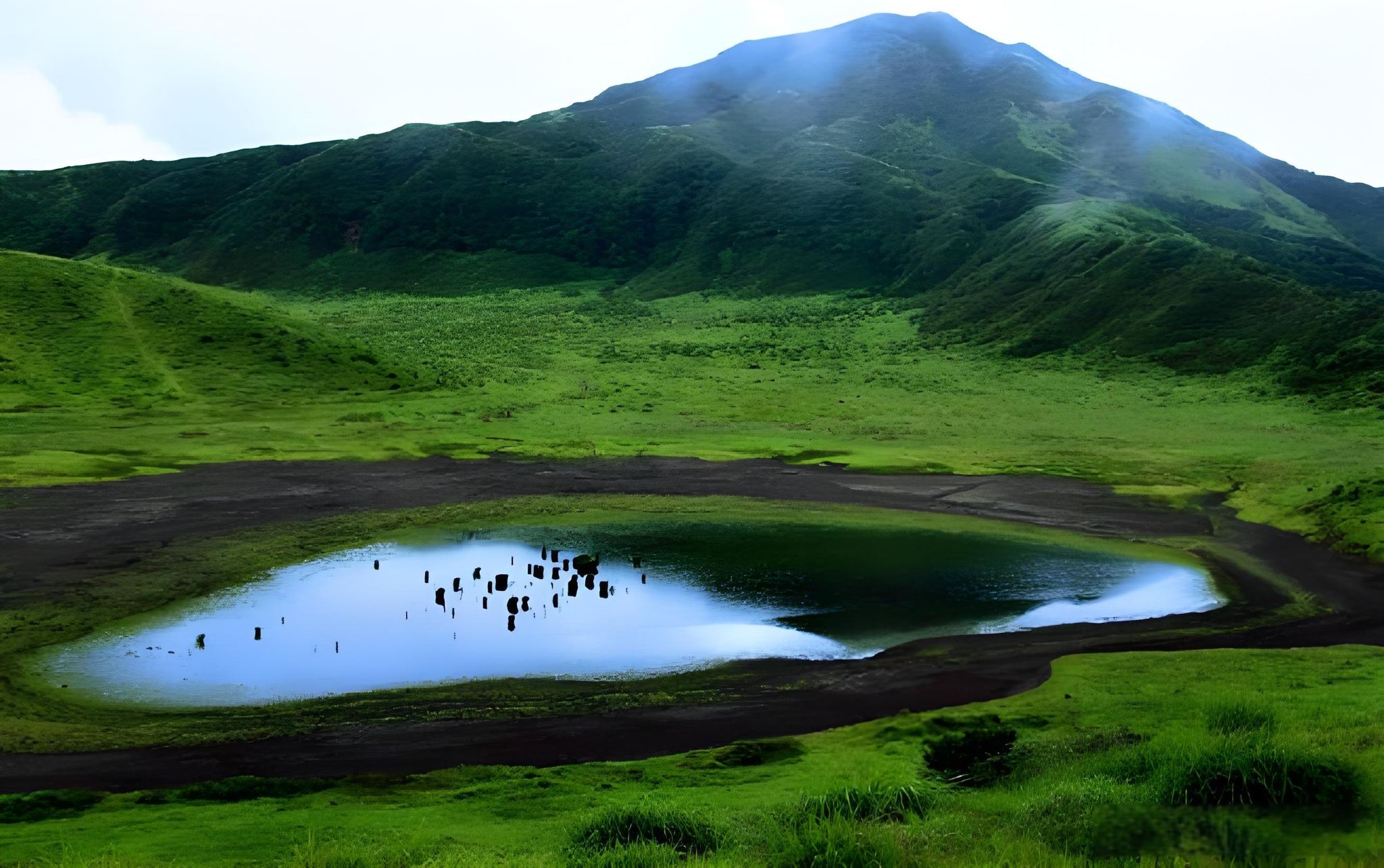 熊本/福岡/別府/由布院-定制包車-中文司機-行程可按需調整
