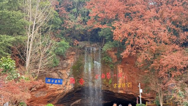 石林風景區+阿廬古洞一日遊【探秘地下溶洞◆含索道遊船觀光車】