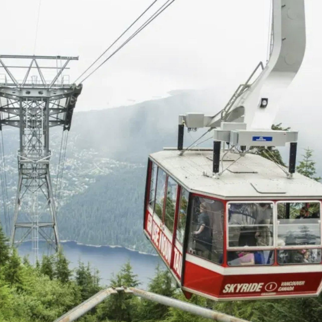 Grouse Mountain: Small Group Guided Tour + Roundtrip Transport