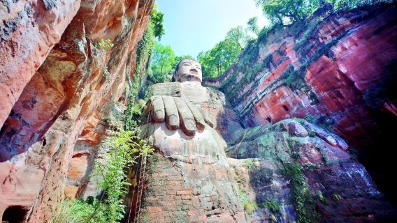 Tur Budaya Chengdu + pemandu wisata Bahasa Asing: Pangkalan Panda + Patung Buddha Raksasa Leshan