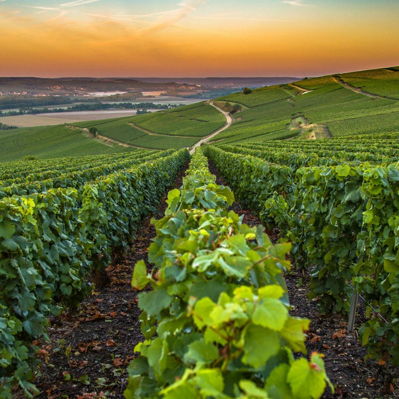 French Riviera: Nice, Gorges du Loup Waterfall + Wine and Tasting Day Tour