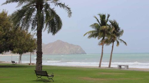 From Fujairah Private Tour: Fujairah & Khorfakkan Day Tours 3