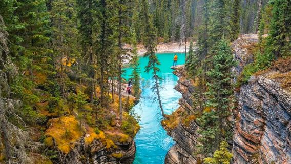 Однодневный тур по Банф: Джонстон Каньон, Минневанка и город Банф