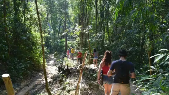 จากภูเก็ต: อุทยานแห่งชาติเขาสก + ทัวร์วันเดียว/ทัวร์หลายวัน เรือหางยาวทะเลสาบเชี่ยวหลาน