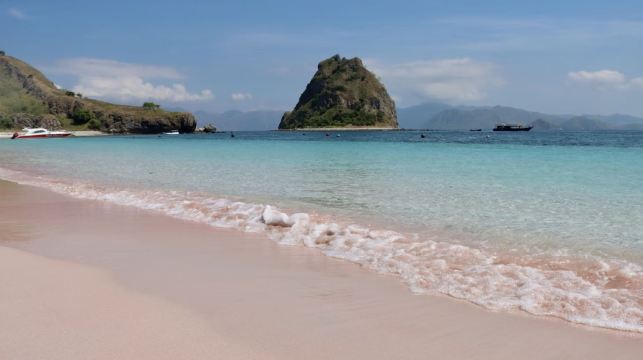 1日遊探索科莫多龍最佳目的地，並於Manta Point浮潛