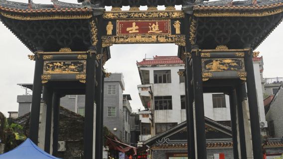 Shunde Fengjian Water Village + Changlu Tourism Expo Park + He Art Museum one-day tour with private charter Car, English Service Available