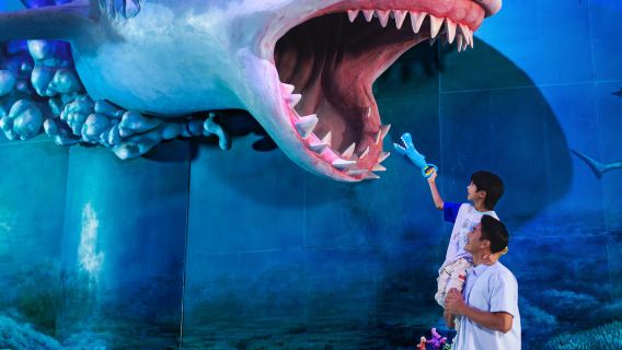 Zhuhai Chimelong Ocean Kingdom/Spaceship Park + Chimelong Show 2 days 1 night/3 days 2 nights tickets + accommodation package|Including Penguin/Hengqin Bay/Spaceship/Circus Hotel|Meals available