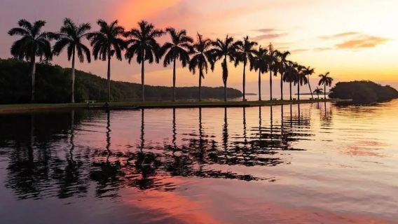 邁阿密大沼澤地公園+海灣公園+溫尼伍德牆+維茲卡亞博物館