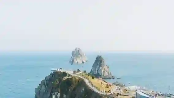 韓國東釜山探索之旅半日遊 中文英文導遊2431