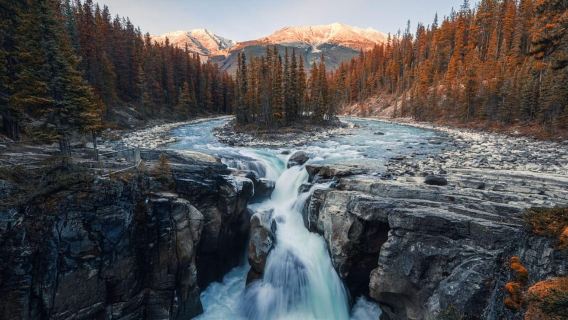 Athabasca Falls/Abraham,Sunwapta Falls, Icefield, Peyto Lake