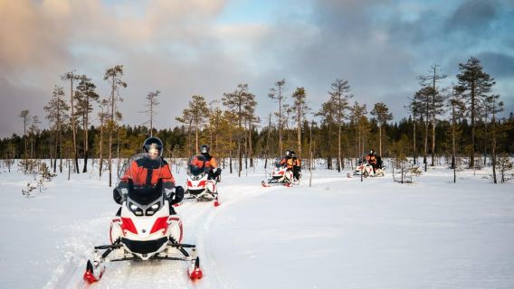 Rovaniemi: 3h Electric Snowmobile Safari at Reindeer Farm