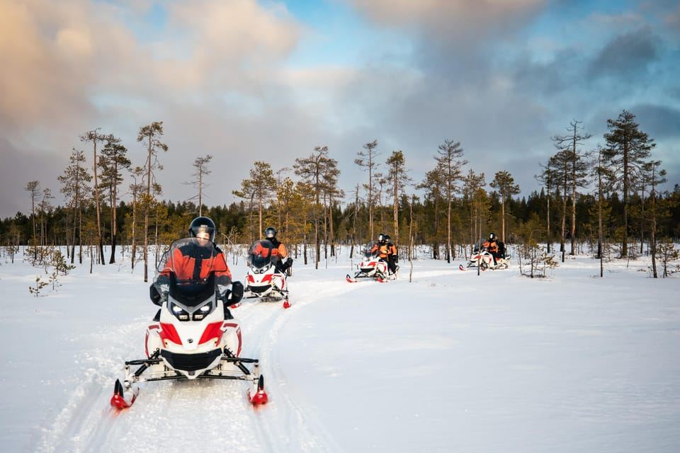 Rovaniemi: 3h Electric Snowmobile Safari at Reindeer Farm
