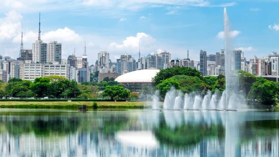 São Paulo: Tour tham quan riêng nửa ngày có hướng dẫn viên cổ điển