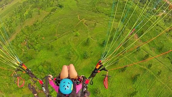 Jakarta: Paragliding on Top Mountain & Tea Plantation