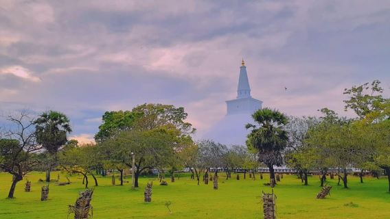 PolonnaruwaTours