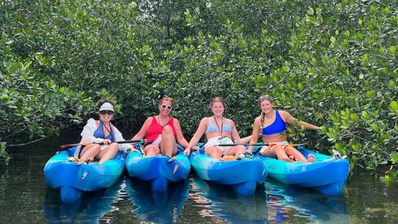Key West: recorrido en kayak por los manglares de 2 horas
