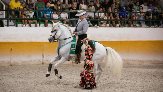 Torremolinos: Spanish horse show and flamenco with dinner option