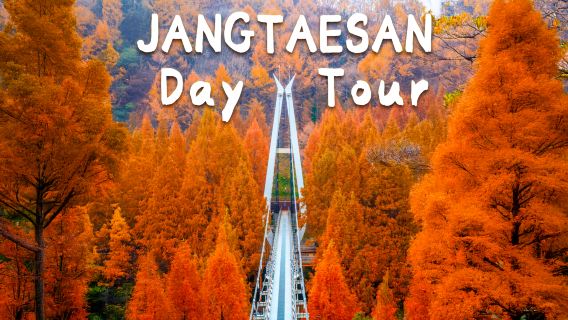 JeonjuTours