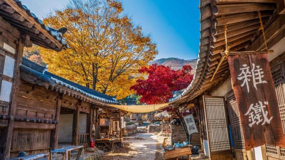 Seoul: BTS K-Pop Star Footsteps Journey ARMY Fan Day Tour