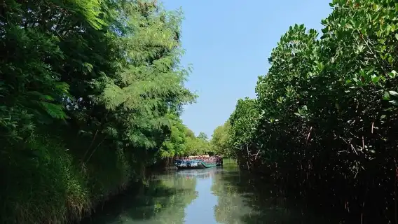 台南：四草綠隧道觀光船