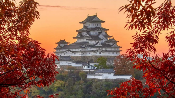 大阪神戶日遊【精品小團·可接送】姬路城+有馬溫泉+六甲山觀景