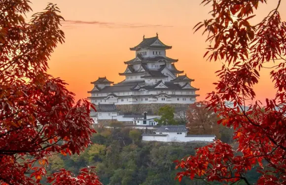 【可選酒店接送】神戶一日小團·姬路城+有馬溫泉+六甲山·熱銷