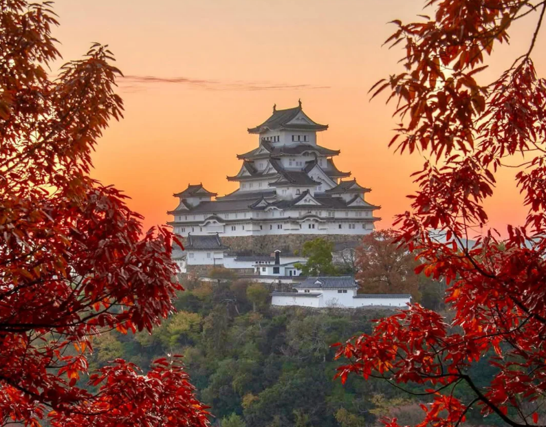 大阪神戶【精品小團·可選飯店接駁】姬路城+有馬溫泉+六甲山