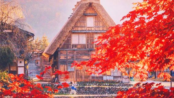 Patrimoine mondial de l'UNESCO : Excursion d'une journée à Nagoya et aux villages historiques de Shirakawa-gō et Gokayama + Takayama, pour admirer les feuilles d'automne