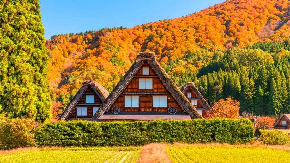 Da Nagoya: esplora il villaggio in stile Gassho di Shirakawa-go e vivi il mondo alpino con un piccolo gruppo di 9 persone