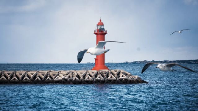 濟州島VIP精品一日遊｜6人精品小團｜中文服務｜上門接｜純玩