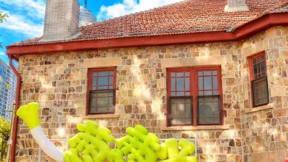 【養馬島包車團】養馬島+自由訂製一日遊