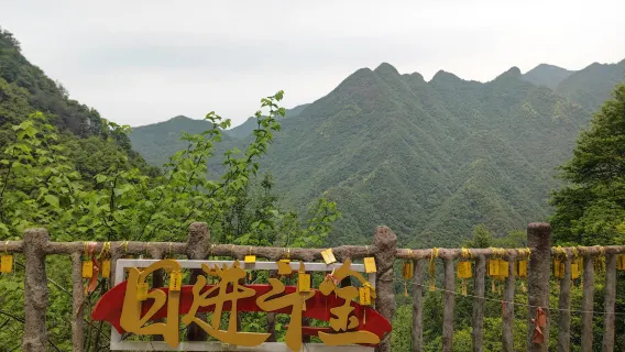 1-day tour to Yunhe Terraced Fields, Guyanyan Painting Village, and Yingxing Building in Lishui, Zhejiang with bilingual service available