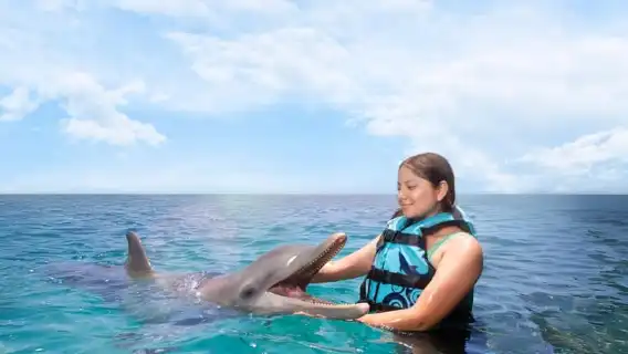 Cancun: Dolphin Connection & Isla Mujeres Beach Club Buffet